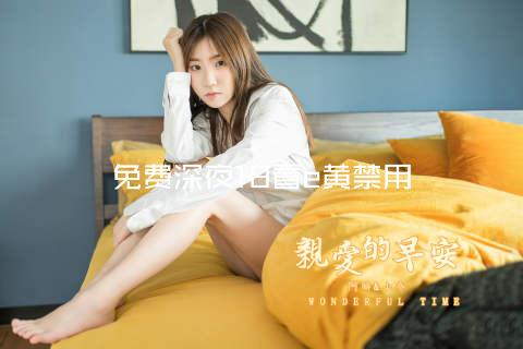 免费深夜18看e黄禁用